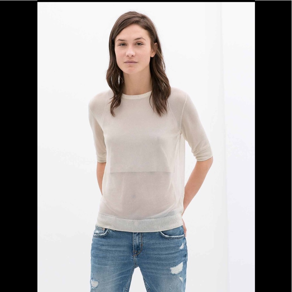 Zara sheer top
